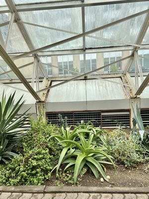 Foellinger-Freimann Botanical Conservatory by null