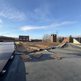 Wicked Wildlife Control - A picture of my roof he took - Wildlife Control Near Me Wicked Wildlife Control - A picture of my roof he took - Wildlife Control Near Me