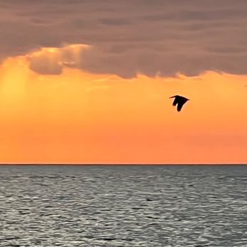 Indian Rocks Beach - Beaches Near Me - Indian Rocks Beach, Florida Indian Rocks Beach - Beaches Near Me - Indian Rocks Beach, Florida