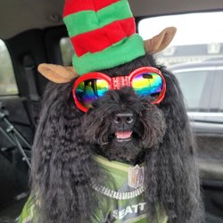 Big Lots - Even Santa's lil helper needs a little help getting stuff for that big day!!