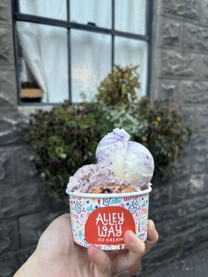 Alleyway Ice Cream by null