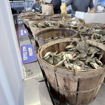 Captain White's Seafood - Crab galore - Seafood Markets Near Me - Oxon Hill, Maryland