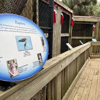 Marine Science Center - Aquariums Near Me - Ponce Inlet, Florida Marine Science Center - Aquariums Near Me - Ponce Inlet, Florida