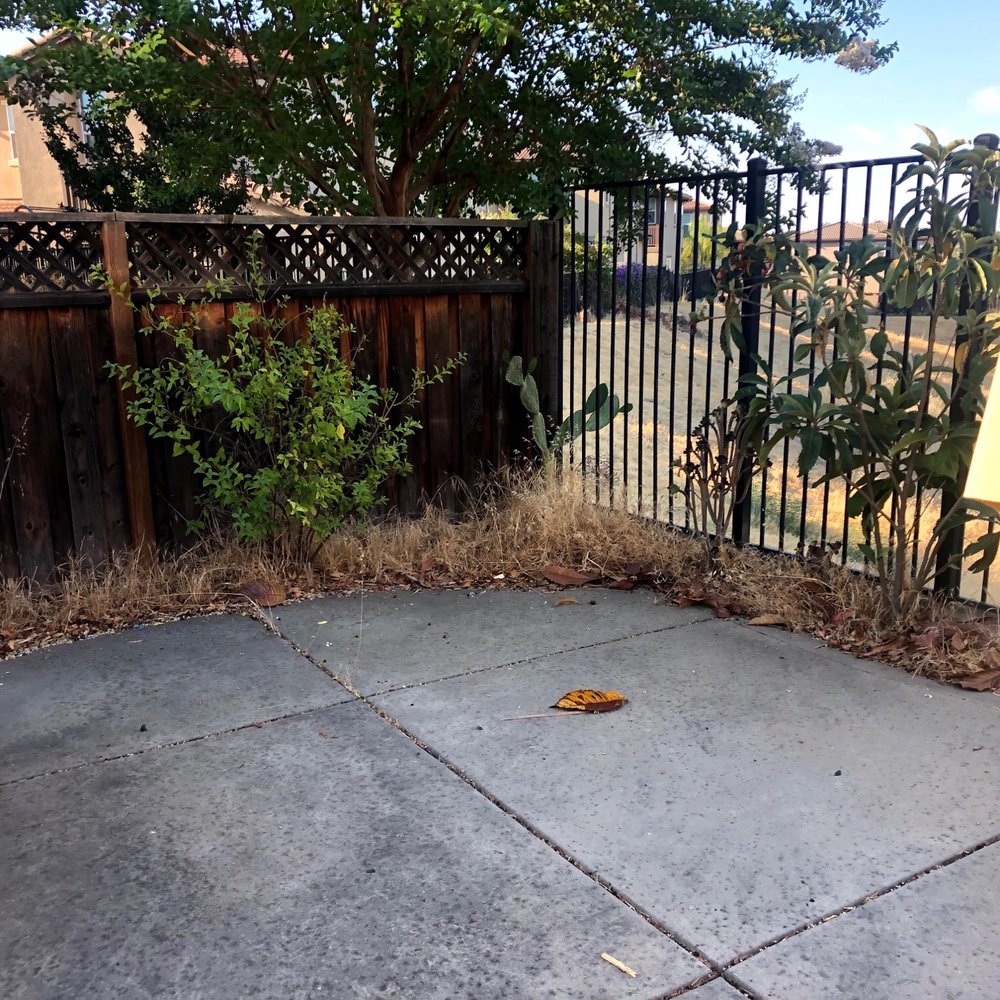 Total Landscape Concepts - Before - Irrigation Near Me Total Landscape Concepts - Before - Irrigation Near Me