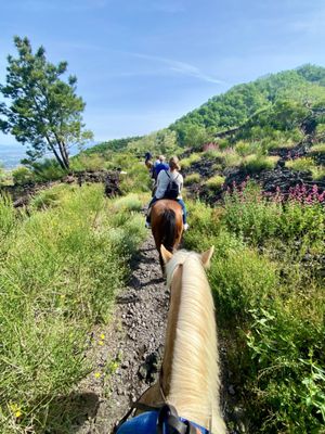 Vesuvius National Park by null