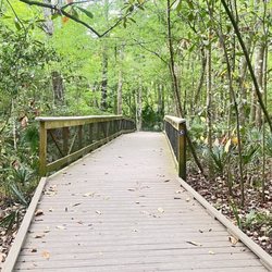 Alfred A Ring Park - More bridges...
