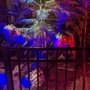 Photo of Dinosaur World