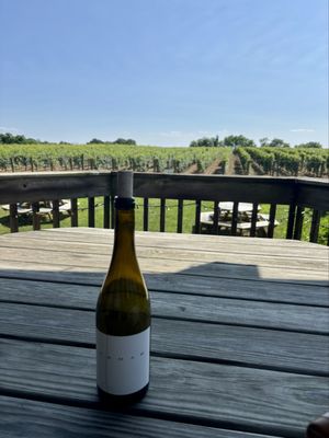 Va La Vineyards by null