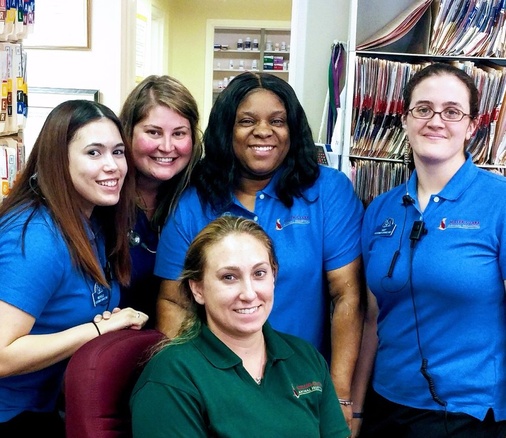 MILLER CLARK ANIMAL HOSPITAL Updated October 2024 40 Photos & 35