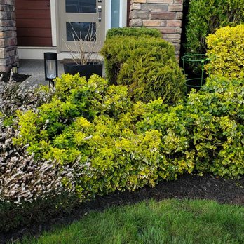 Lee's General Landscaping and Yard Clean Up - Landscaping Near Me - Seattle, Washington Lee's General Landscaping and Yard Clean Up - Landscaping Near Me - Seattle, Washington