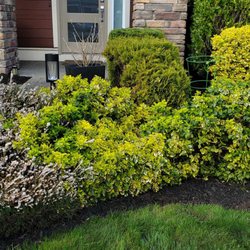 Lee's General Landscaping and Yard Clean Up