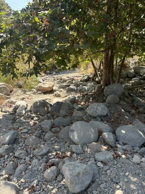 Eaton Canyon Falls by null