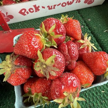 Chase Farms - Farmers Market Near Me - Fairport, New York