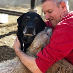 Second Home Pet Resort - Staff