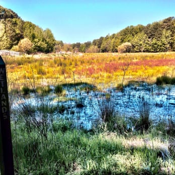 Sandy Bottom Nature Park - Wetlands - Parks Near Me - Hampton, Virginia Sandy Bottom Nature Park - Wetlands - Parks Near Me - Hampton, Virginia