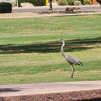Anthem Veterans Memorial - Landmarks & Historical Buildings Near Me - Anthem, Arizona