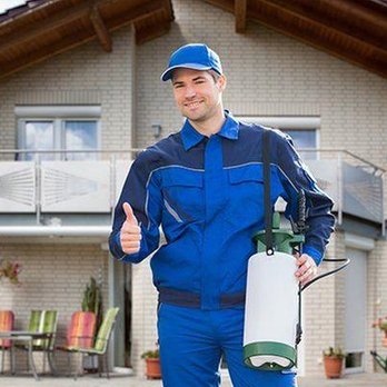 Action Pest Control - untitled - Pest Control Near Me - Billings, Montana Action Pest Control - untitled - Pest Control Near Me - Billings, Montana