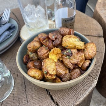 Terrene - Spicy fingerling potatoes - Cocktail Bars Near Me - San Francisco, California Terrene - Spicy fingerling potatoes - Cocktail Bars Near Me - San Francisco, California