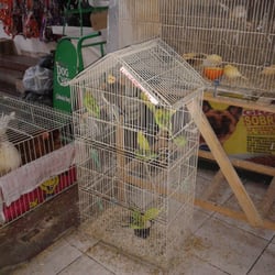 Yeroushalam Chelzhava - Animalitos a la venta