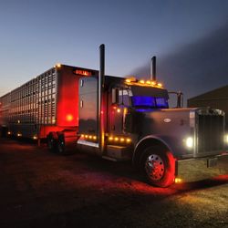 DLS Trucking & Industrial