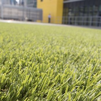 New England Turf Store - Because you love realistic - Artificial Turf Near Me - Canton, Massachusetts