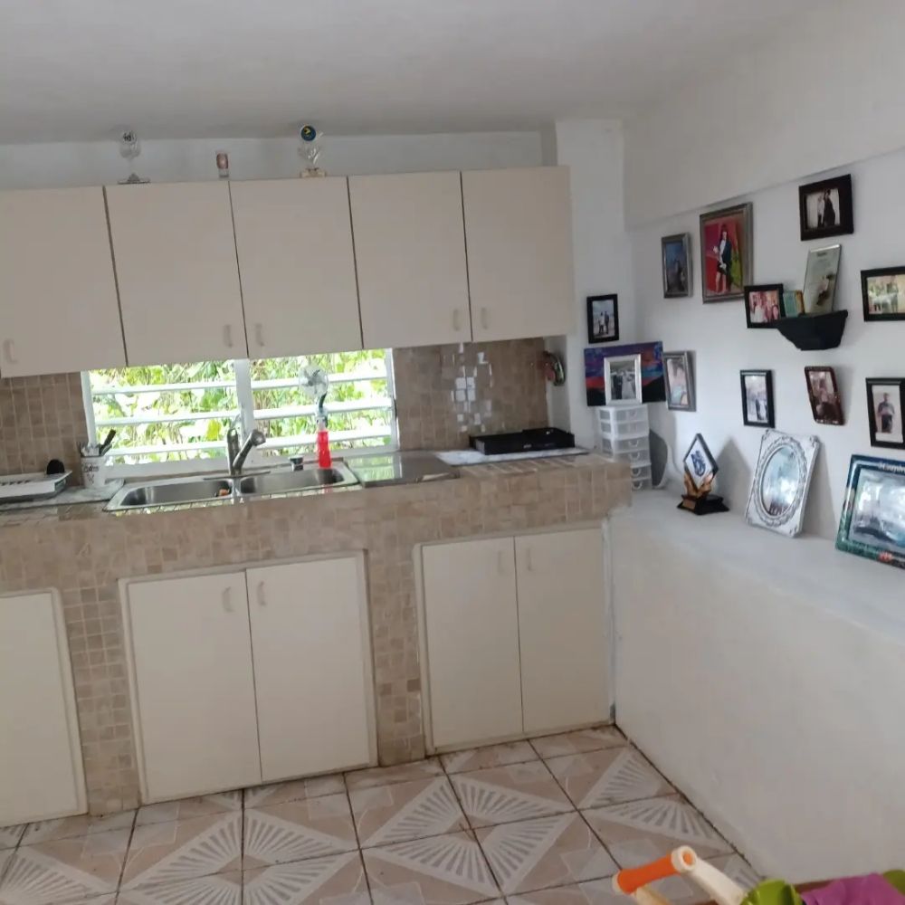 JAIS CLEANING SERVICES Updated June 2024 16 Photos Carolina