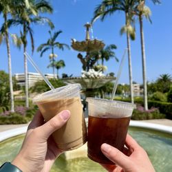 Concord Coffee - Iced coffees to go