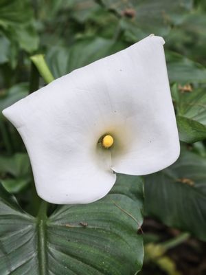 Chiayi County, Taiwan 605 by null