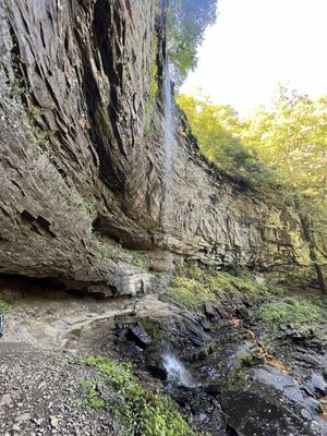 Cloudland Canyon State Park by null