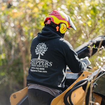 Chippers Tree Service - Roberto working on the vermeer mini skid - Tree Services Near Me - Grand Prairie, Texas Chippers Tree Service - Roberto working on the vermeer mini skid - Tree Services Near Me - Grand Prairie, Texas