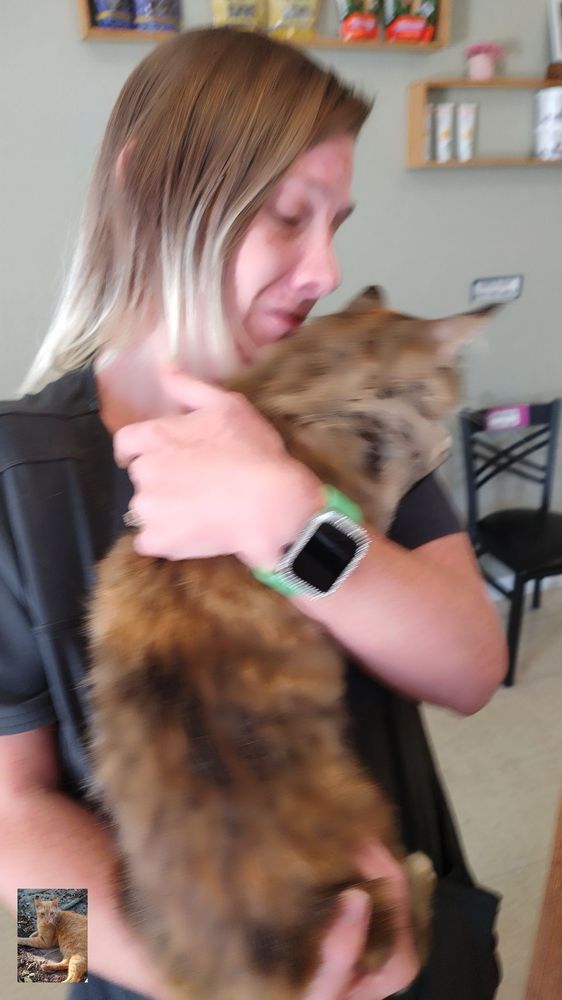 BASELINE ANIMAL HOSPITAL Updated September 2024 2925 SE 58th Ave