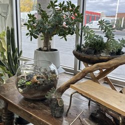 Moss & Timber