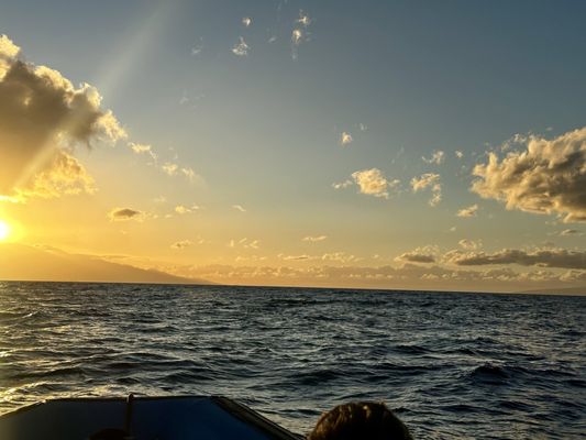 Hawaii Ocean Rafting Whale Watch and Snorkel by null