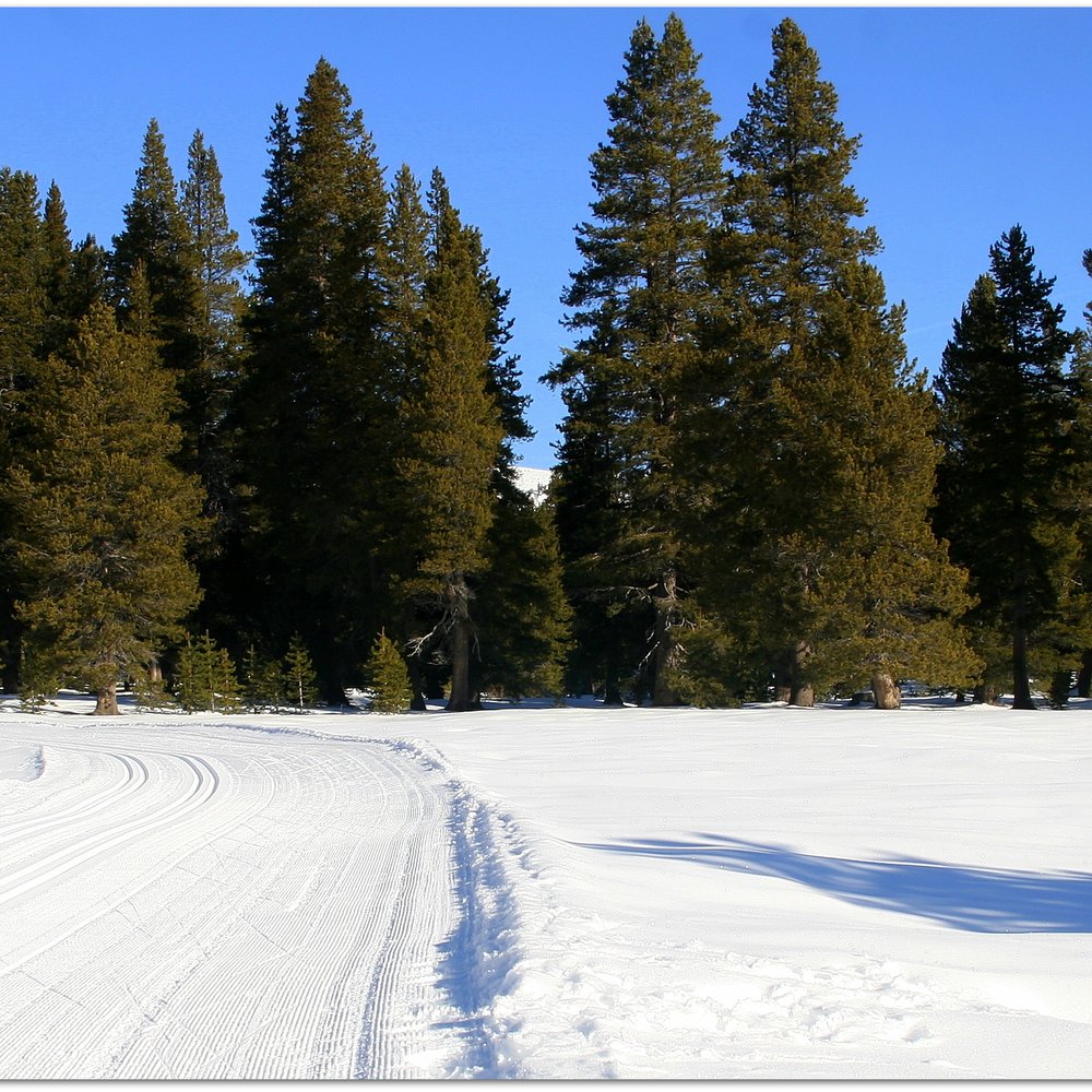 Bear Valley Adventure Company - Orvis Meadow trail. - Ski Resorts Near Me - Bear Valley, California Bear Valley Adventure Company - Orvis Meadow trail. - Ski Resorts Near Me - Bear Valley, California