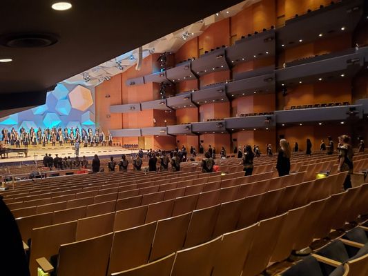 Minnesota Orchestra by null