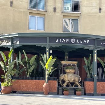 Star Leaf - Exterior of the restaurant - Asian Fusion Near Me - Pasadena, California Star Leaf - Exterior of the restaurant - Asian Fusion Near Me - Pasadena, California