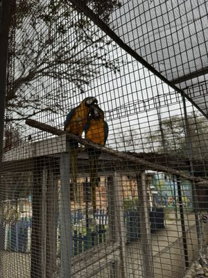 Wonder World Cave & Adventure Park by null