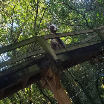 Tree Hill Jacksonville's Nature Center - Parks Near Me - Jacksonville, Florida