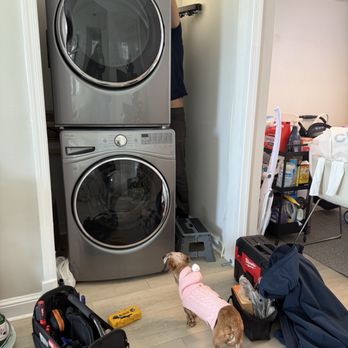 Atlant Appliance Repair - Our pup Greta serving as Erik's assistant! - Appliances & Repair Near Me - McLean, Virginia