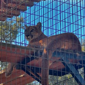 THE FOLSOM CITY ZOO SANCTUARY - Updated July 2025 - 611 Photos & 276