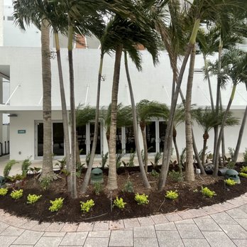 Crespo’s Complete Maintenance - palm trees in front of a building - Landscaping Near Me