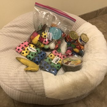 Tree House Humane Society - Free goodies I got while adopting Sweet Caroline. - Animal Shelters Near Me - Chicago, Illinois Tree House Humane Society - Free goodies I got while adopting Sweet Caroline. - Animal Shelters Near Me - Chicago, Illinois