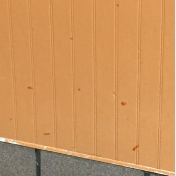 Wendy's - Someone's ketchup packet has exploded on the wainscoting and no one has wiped it. - Burgers Near Me - Columbia, South Carolina Wendy's - Someone's ketchup packet has exploded on the wainscoting and no one has wiped it. - Burgers Near Me - Columbia, South Carolina