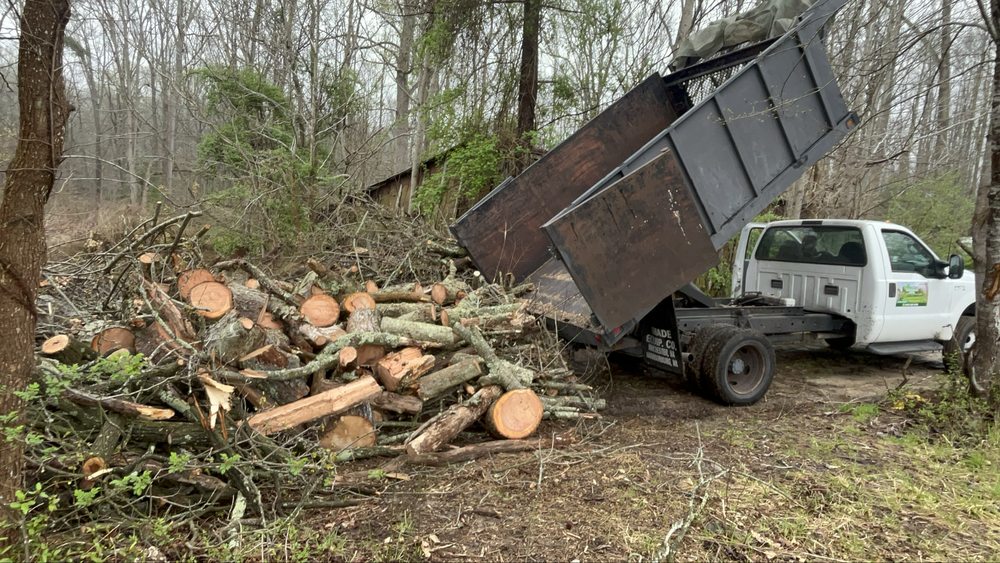 Hector Landscaping & Lawn Service - tree service in Annapolis , MD