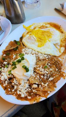 Montclair Egg Shop by null