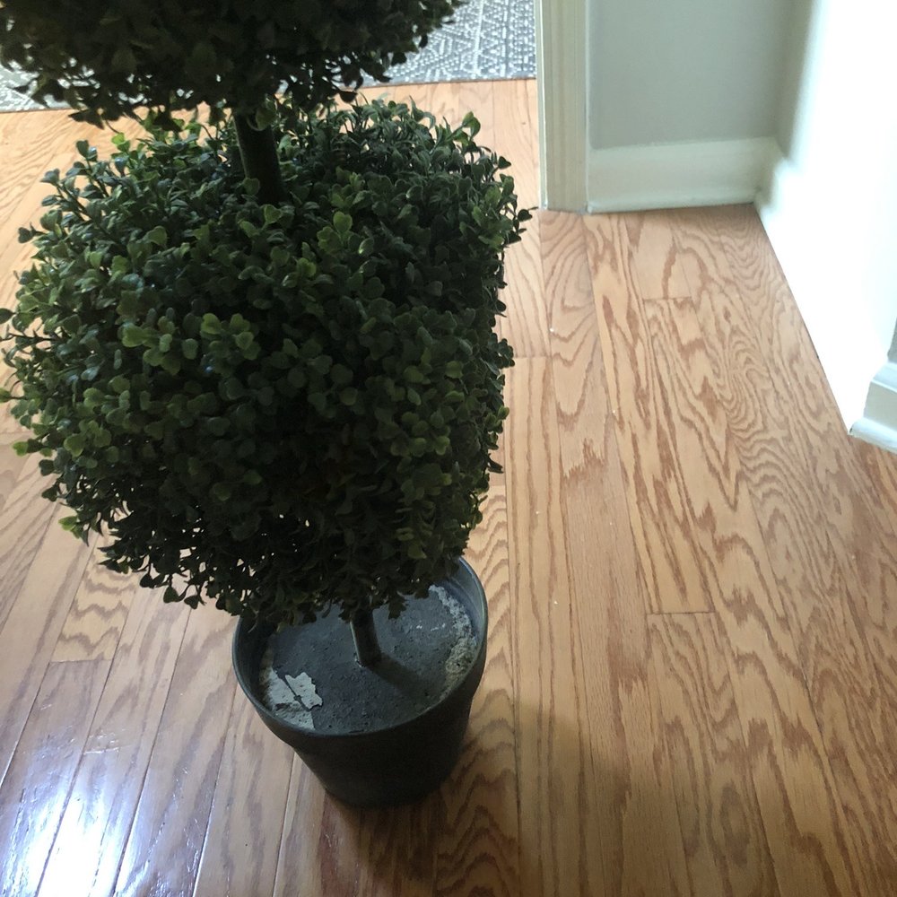 Nearly Natural - Bottom topiary is supposed to be round try to fix but couldn't. Totally flat ! - Floral Designers Near Me - Hialeah, Florida Nearly Natural - Bottom topiary is supposed to be round try to fix but couldn't. Totally flat ! - Floral Designers Near Me - Hialeah, Florida