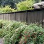 Photo of Rances Lawn Care