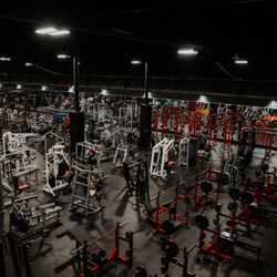 Why GYM