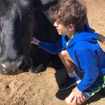 Farm Sanctuary - Animal Shelters Near Me - Acton, California Farm Sanctuary - Animal Shelters Near Me - Acton, California