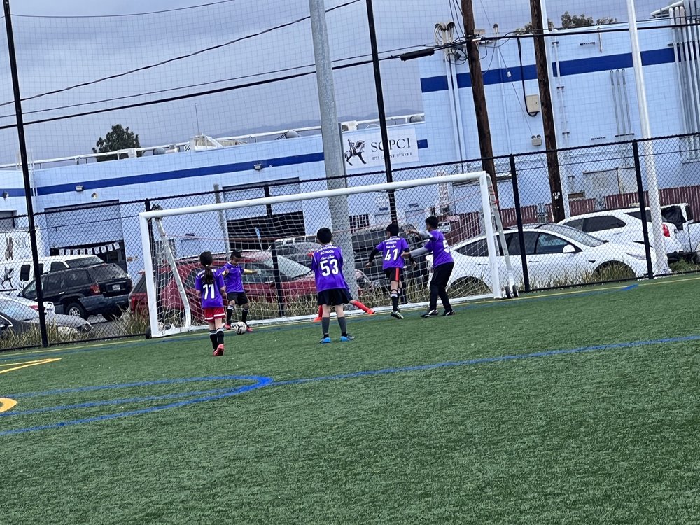 REED AND GRANT SPORTS PARK Updated October 2024 750 Reed St, Santa